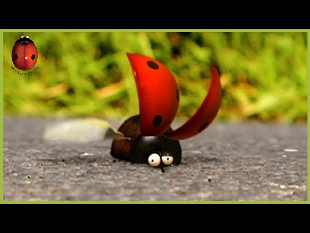 On Your Marks, get set, go ! | Minuscule | 30' Compilation