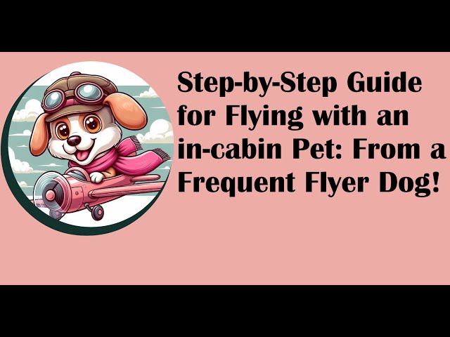 Flying with a pet in cabin: Guide and tips from a frequent flyer dog!