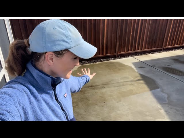 Planning My Garden From A Blank Slate!