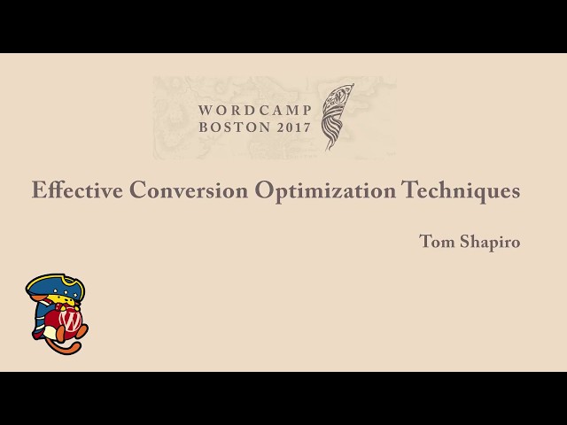 Effective Conversion Optimization Techniques