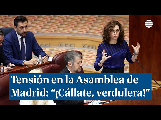 Heated debate in the Madrid Assembly: "Shut up already, you fishwife!"