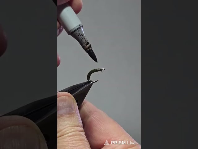 LIVE Fly Tying with Dave Hise | Tying Flies, Techniques & Fly Tying Q&A