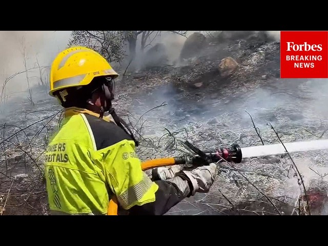 WATCH: Firefighters Battle Massive Blazes In Spain