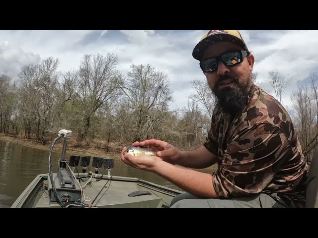Savannah River Shellcracker Fishing March 8th 2026