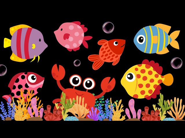 Baby Sensory Video - Visual Stimulation for Newborn - Tummy Time - Sensory Videos for Babies #baby