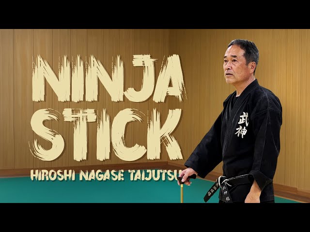 Ninja stick fighting - Bujinkan budo taijutsu