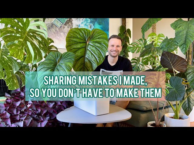 AVOID THESE MISTAKES - growing aroids indoors