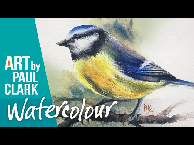 How to Paint a Blue Tit in Watercolour - Step-by-step