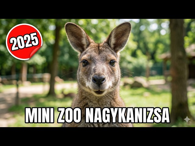 Mini Zoo Walkthrough – Nagykanizsai Zoo, Hungary 🦁 | Real Animals 2025