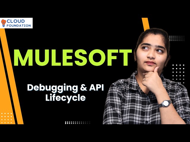 MuleSoft Debugging & API Lifecycle| Learn MuleSoft Online Training course & Tutorial| CloudFoudation