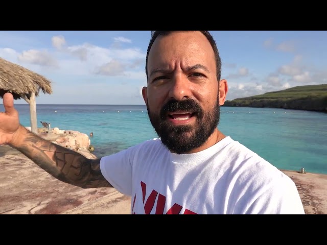 Dive Talk Meetup 2027 Announcement