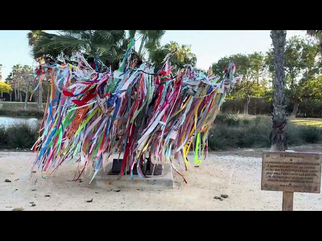 Parque Sergio Melgares, Alicante Spain, chill walk