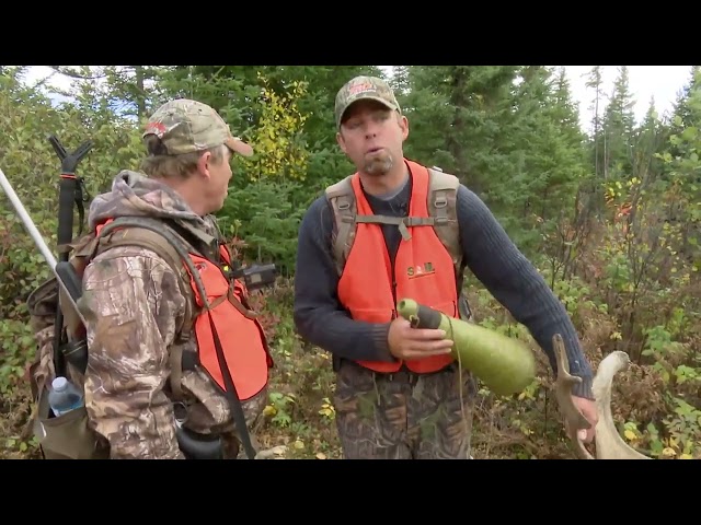 Special Moose Wildlife Expedition
