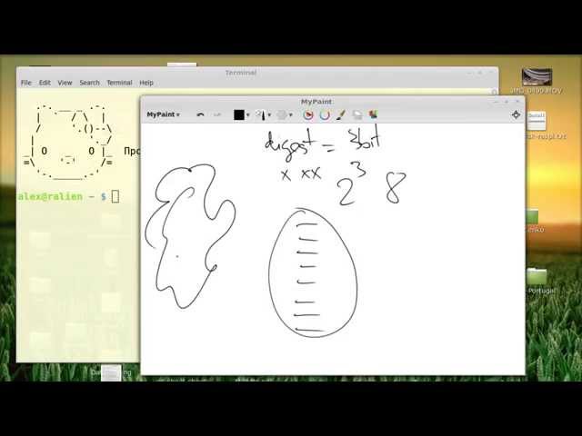 Cryptographic hash functions in Python