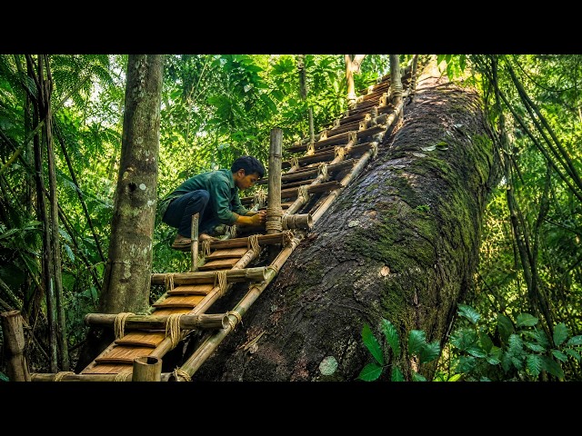 Man Builds SECRET Bamboo SHELTER In The Jungle With His EAGLE Companion | Full Build@Mr.TBushcraft