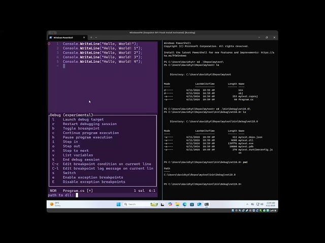 Set Up .NET Development in Helix on Windows: C#, OmniSharp, netcoredbg & Raylib