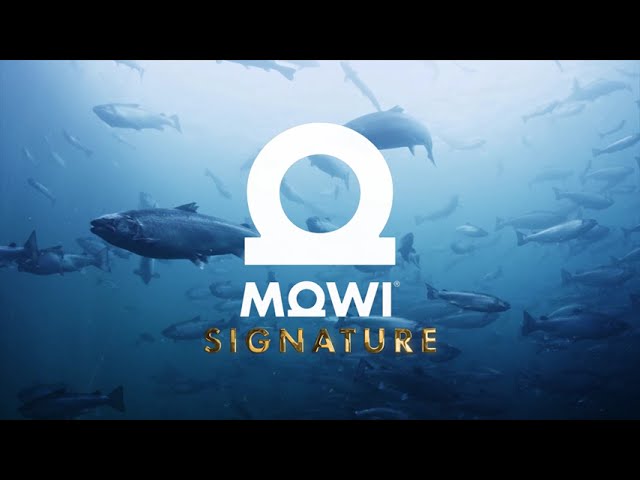 MOWI Signature - Born For Restaurants
