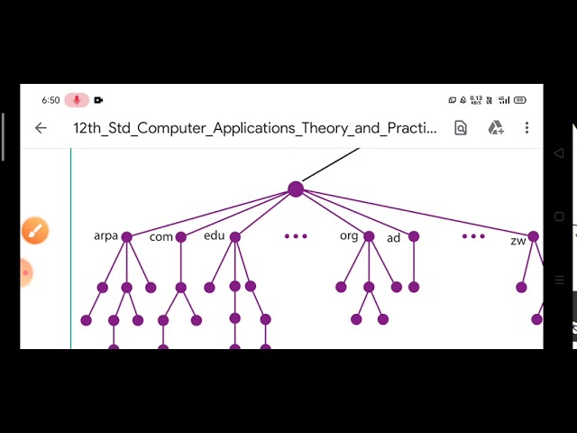 12th computer application lesson 12 DNS