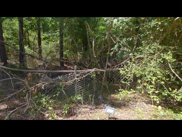 Unexpected Monuments in "Lake Cemetery" Amazing Exploration #cemetery #graves