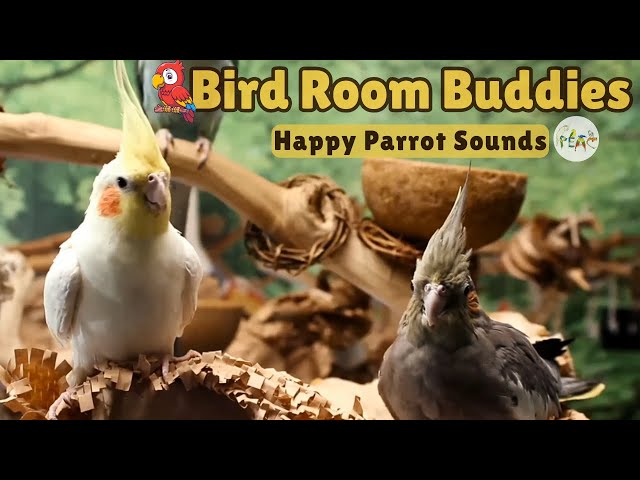 Bird Room Buddies | Keep Your Parrot Happy with Bird Room Parrot Sounds—Parrot Town TV for Birds🌿🦜❤️
