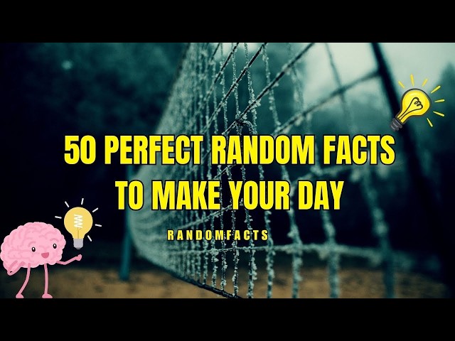 50 Perfect Random Facts to Make Your Day Better 🤯 | Fun & Uplifting Trivia