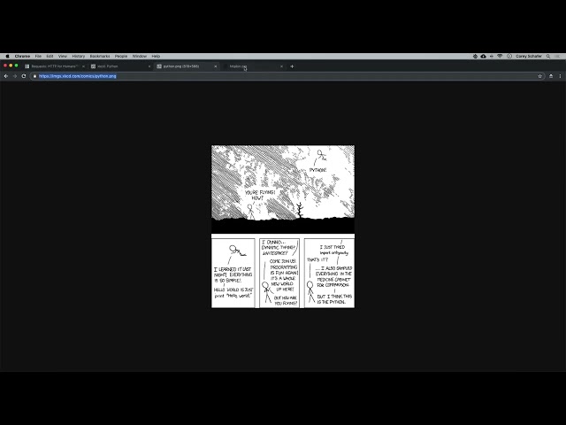 Python Requests Tutorial  Request Web Pages, Download Images, POST Data, Read JSON, and More