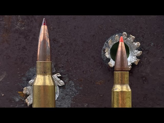 .338 Lapua vs .338 Win Mag: ¿Muy diferentes en acero?