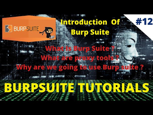 #12 Introduction Of Burp Suite | What are Proxy Tools | burp suite