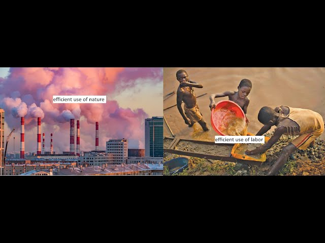 What “efficiency” means under capitalism