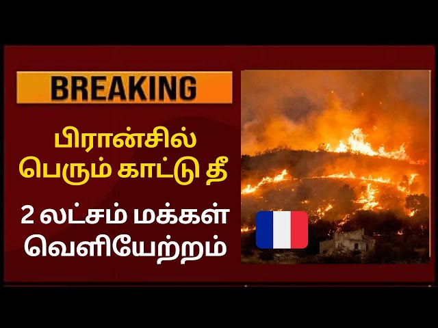 🔥Massive Wildfire in France! Spreading Toward City! Alert | Paris Tamil News