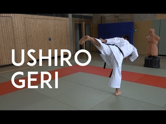 USHIRO GERI - karate back kick - TEAM KI