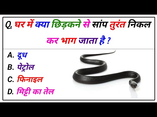 Amazing GK Questions | Test Your Brain Power | Daily General Knowledge Quiz