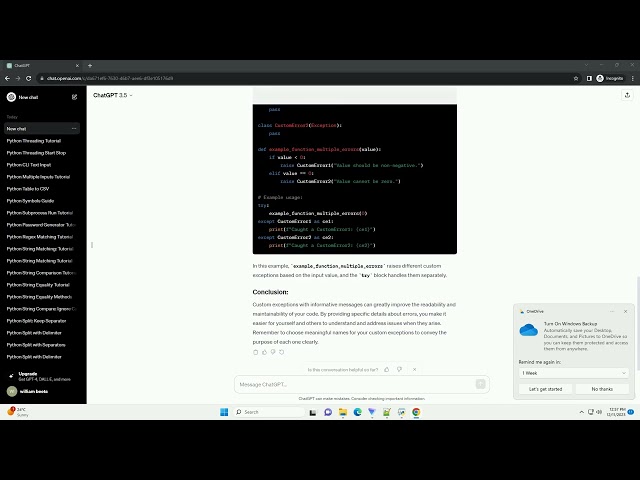 python throw exception with message
