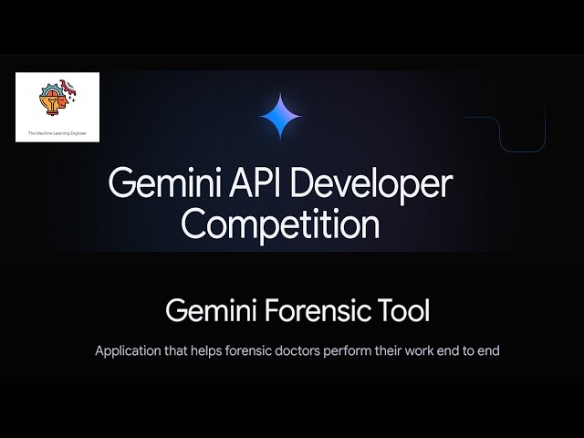 Mi RAG Aplicación en la Competición de Gemini Api Developers. Gemini Forensic Tool
