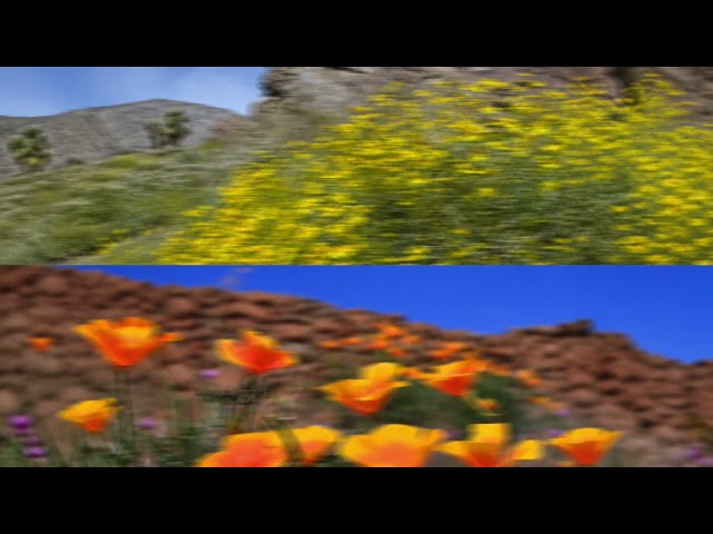 Catching Flies x TEED - Return to Ojai [Official Audio]