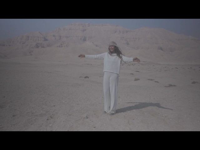 M.I.A. - EVERYTHING (OFFICIAL VISUALIZER)
