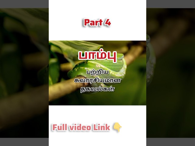 🐍 Snake Facts – Part 4 | This fact will scare you!