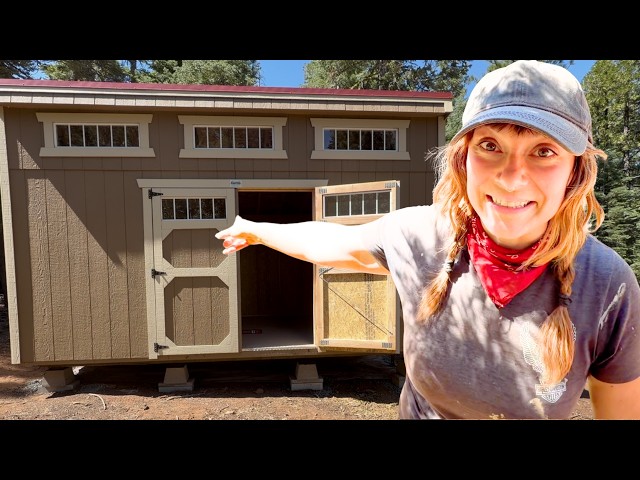 My New Off-Grid Tiny House Shed Arrived!