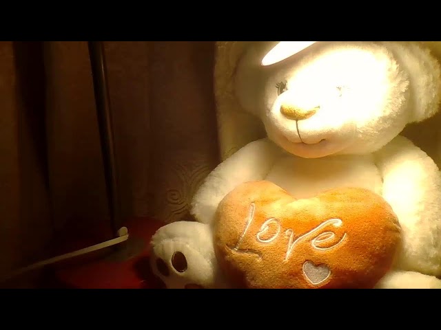 Silent Night Stream For Focus and Relax  | 2026 LS | #silentlivestream #livestream #SoftVibes