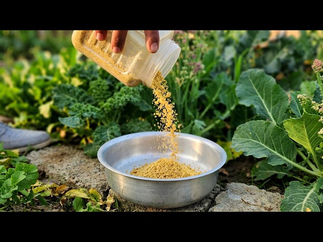 Feed Your Fall Garden This One Kitchen Ingredient To Make It Last Until SnowFall
