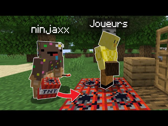 J'ai Hack des serveurs sur Minecraft.. (c'était marrant)