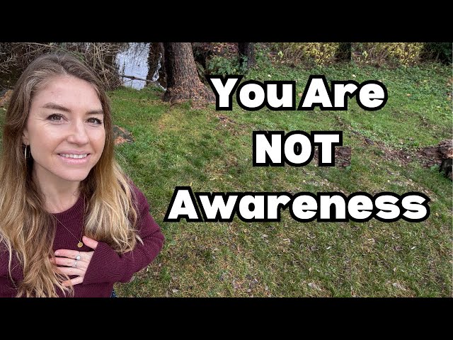 the nonduality hamster wheel of abiding in awareness