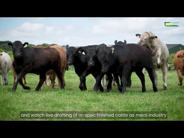BEEF2026 Open Day