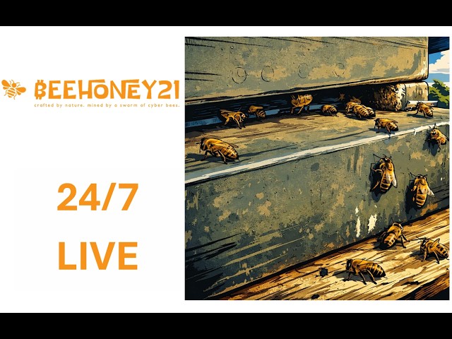 24/7 Bee Hive Live 🐝 | Natural Proof of Work | BeeHoney21