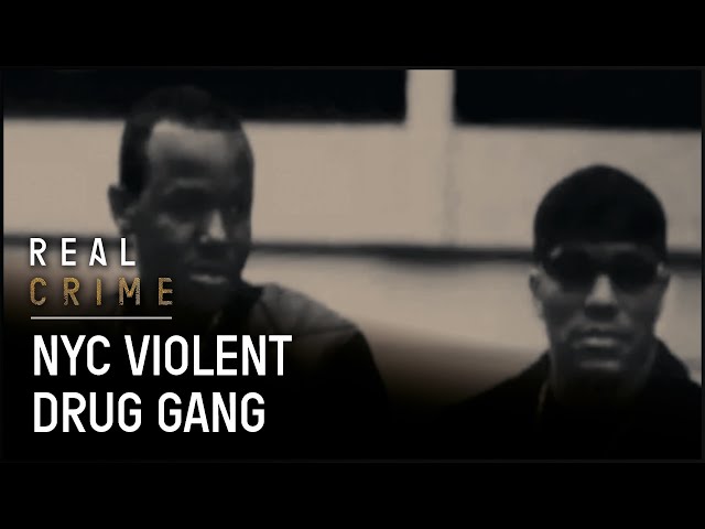 C-11 Squad: Dismantling Murderous Drug Gangs | The FBI Files | Real Crime