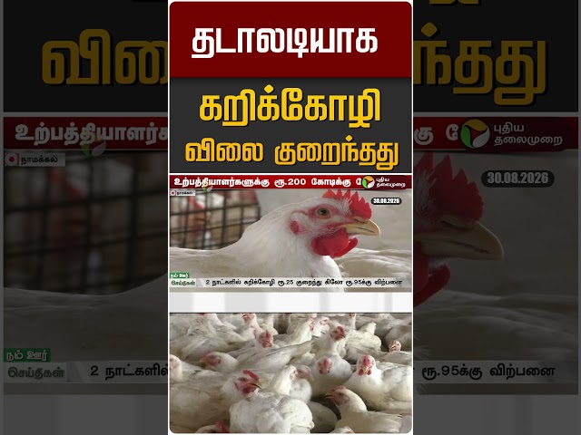 தடாலடியாக கறிக்கோழி விலை குறைந்தது #shorts