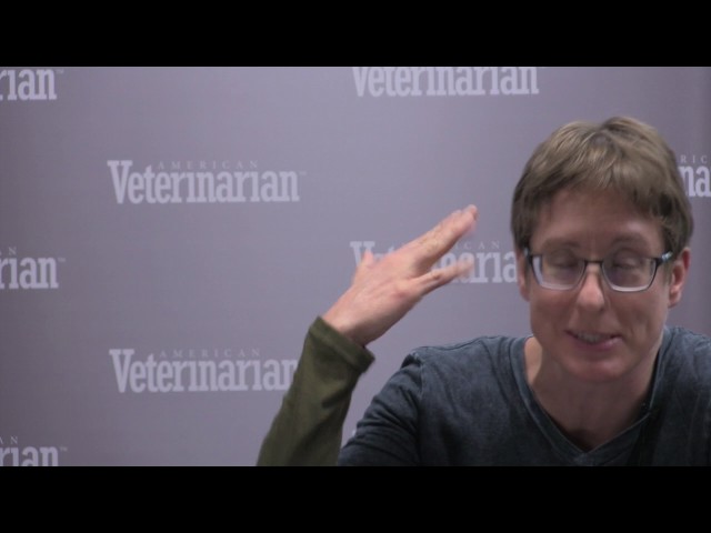 How Do You Stabilize Cats in Acute Respiratory Distress?