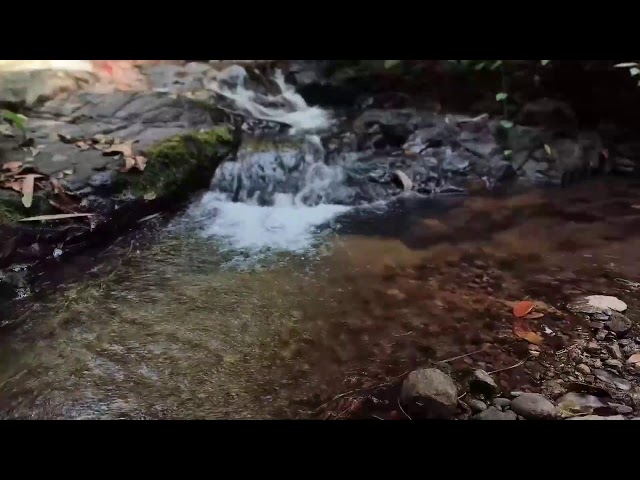Relaxing Piano Music – Healing Vibes & River Flow for Sleep, Meditation and Inner Balance