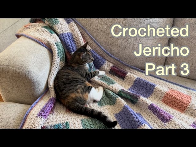 Crocheted Jericho Part 3 / Join as you go Color Block / Starting with Small Rectangle #crochet 