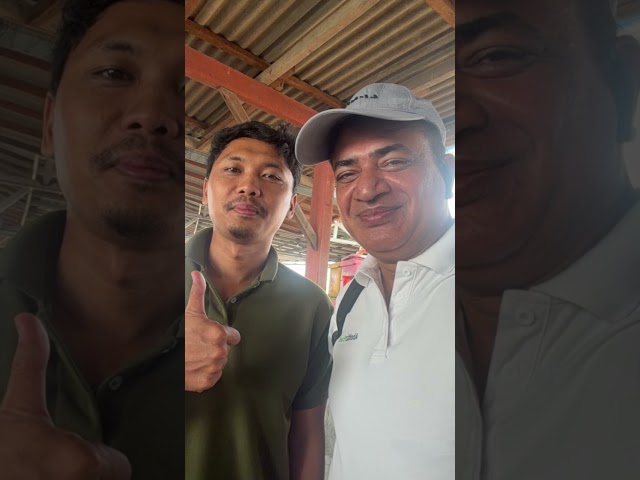 Super intensive Shrimp Farming in Central Java Indonesia 